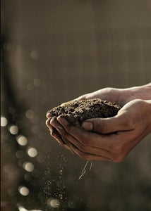 GD Organic Vermicompost - 500 gms