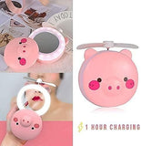 Pepa Led Mirror nd fan
