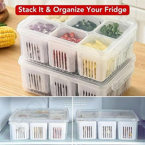 GD Storage Box With Lid and 6 Compartments